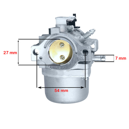 Vergaser für Briggs & Stratton 498231, 499161, 799728. 494392, 494502, 284777