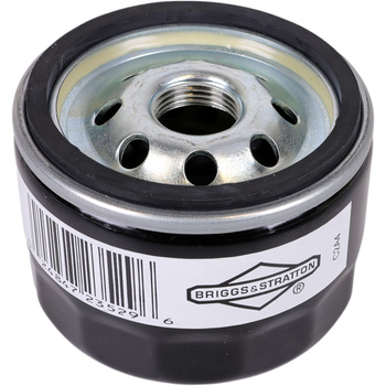 Satz für Efco Tuareg 3l Öl + Ölfilter Briggs&Stratton Motor